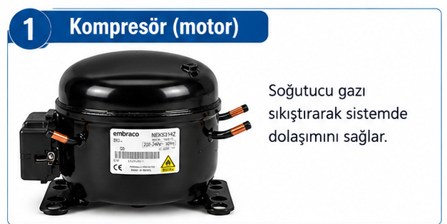 Kompresör (motor) - soğutucu gazı sıkıştırarak sistemde dolaşımını sağlar